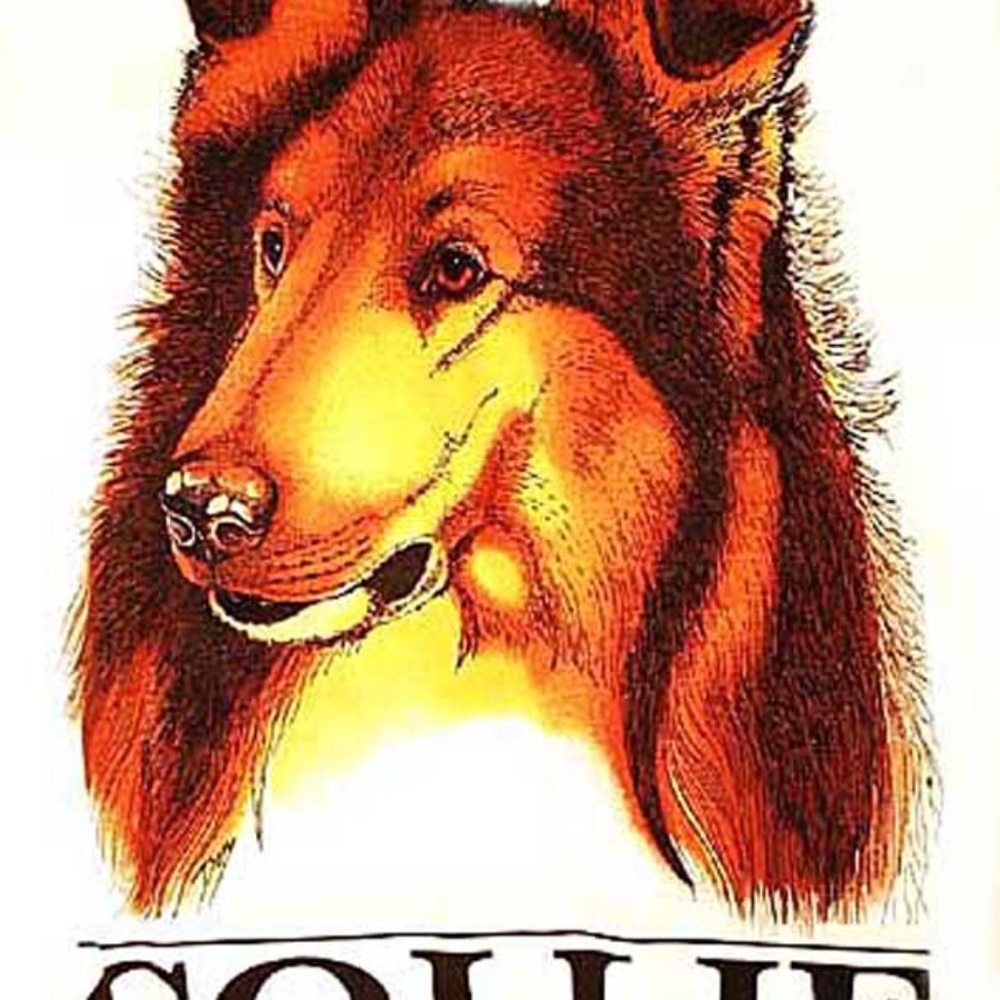 COLLIE DOG SWEATSHIRT, ADULT XL, ARTIST "DEN" (SIGNATURE PRINTED ON SHIRT),